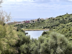 1-7980e48d732b6fc85c14b43b94d2aa54.jpg